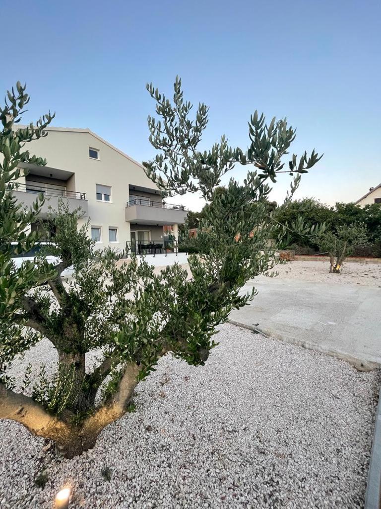 Luxury Apartments Leonika 比比涅 外观 照片